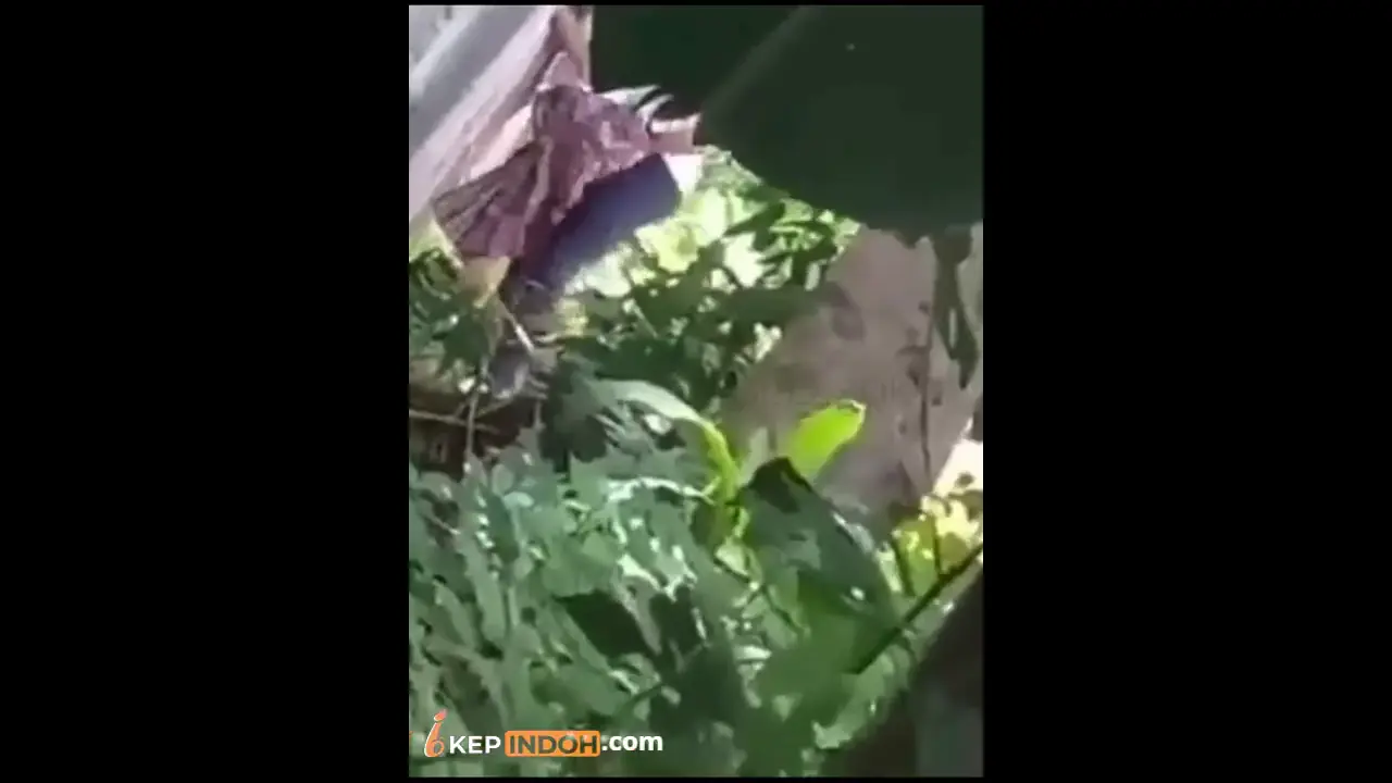 Bokep Indo Ciduk Satpam Komplek Ngewe Sama Binor