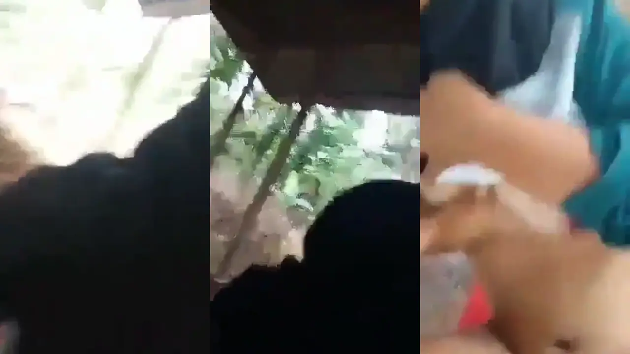 Bokep Abg smp ngentot di gubuk sama pacar